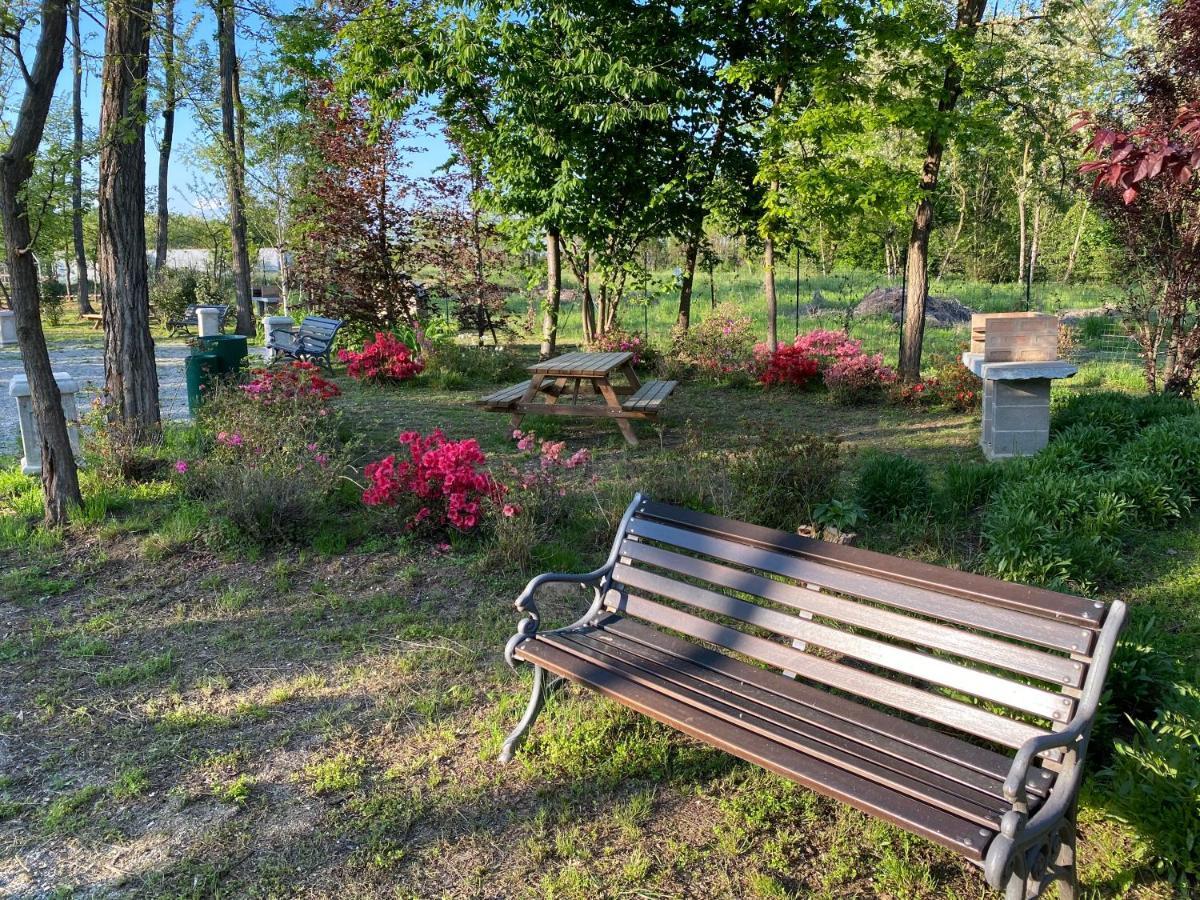 Oasilandia Bed & Breakfast Dorno ภายนอก รูปภาพ