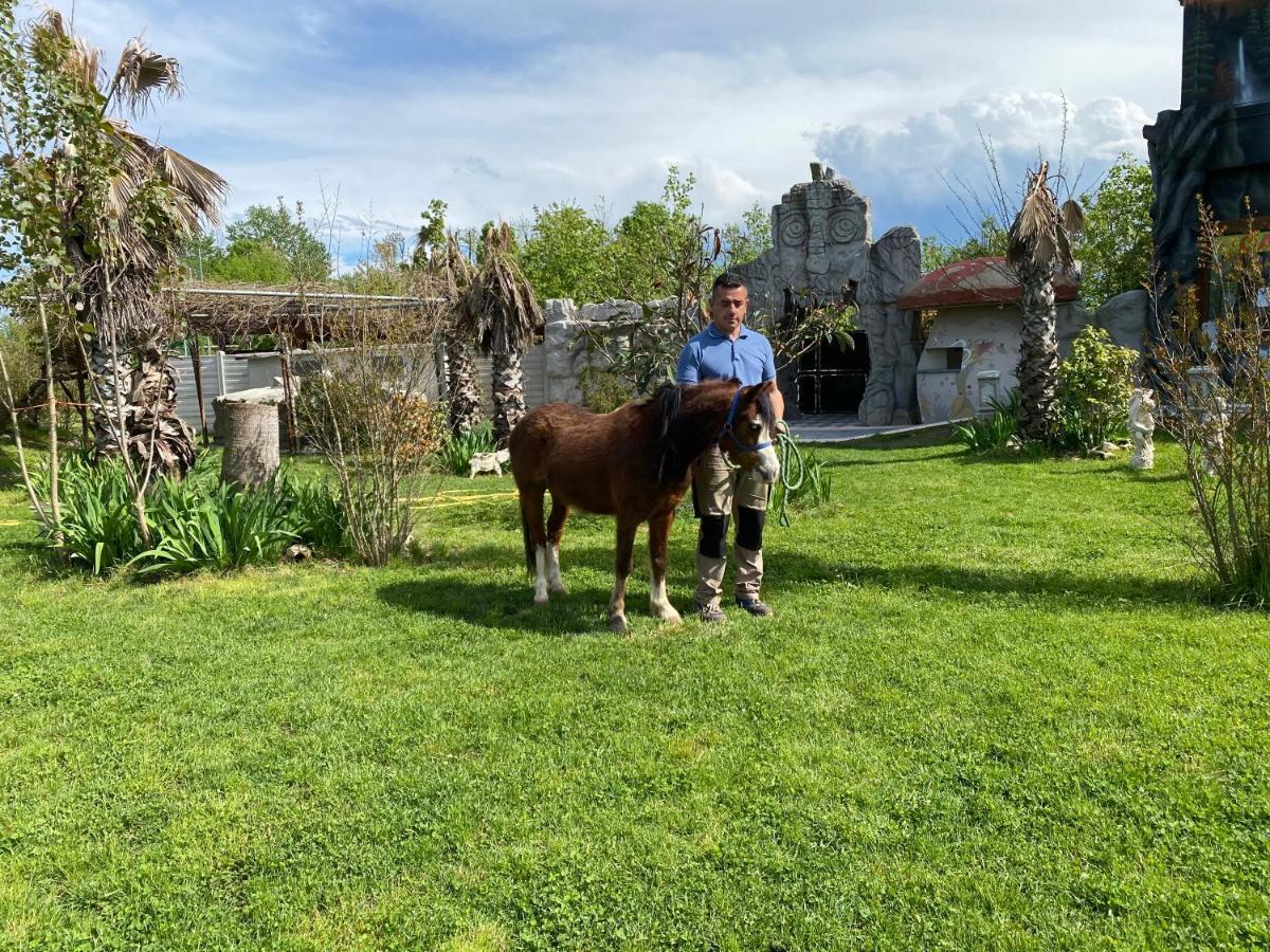 Oasilandia Bed & Breakfast Dorno ภายนอก รูปภาพ